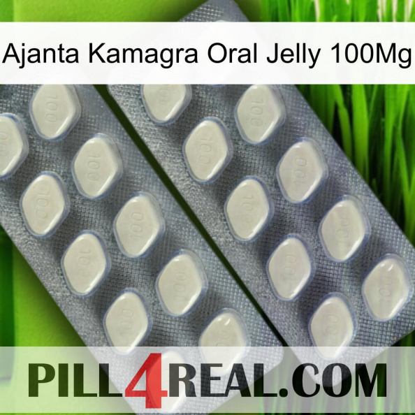 Ajanta Kamagra Oral Jelly 100Mg 07.jpg